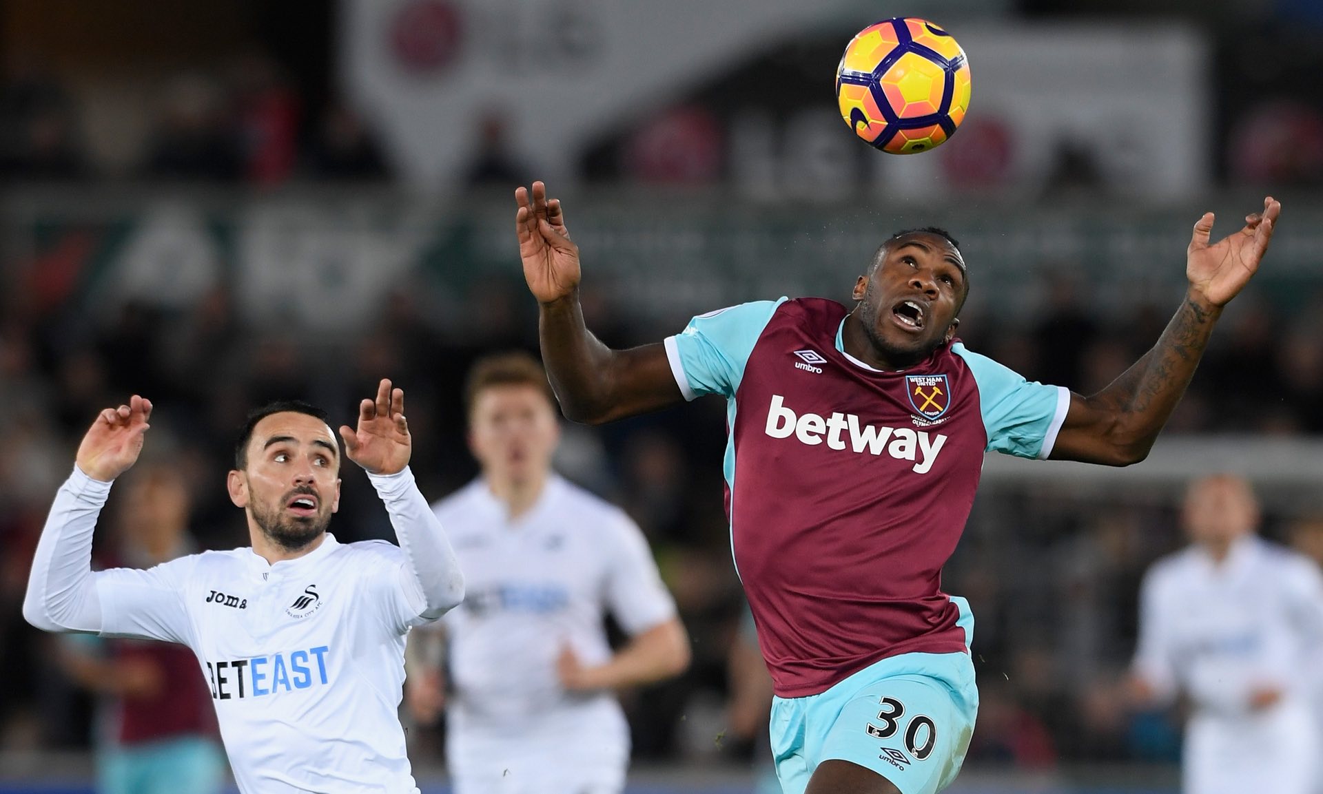 心勃勃的目 心勃勃的目